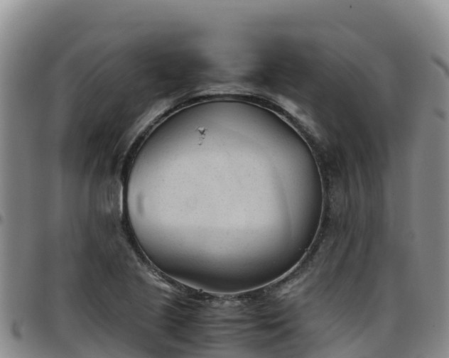 X0000096461221200801311505
