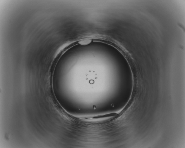 X0000096461222200801311505