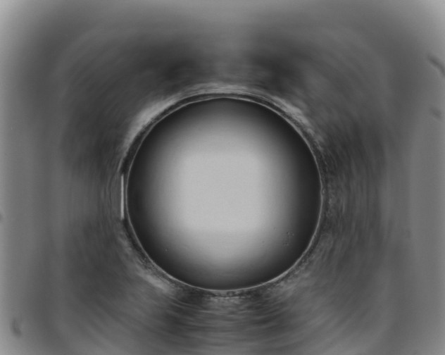 X0000096461223200801311505