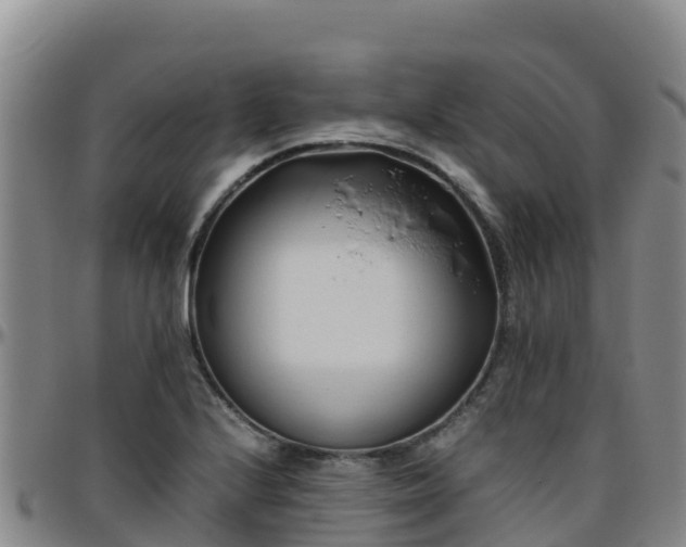 X0000096461224200801311505