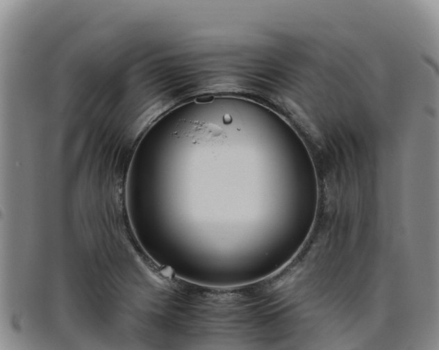X0000096461225200801311505