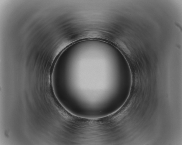 X0000096461226200801311505