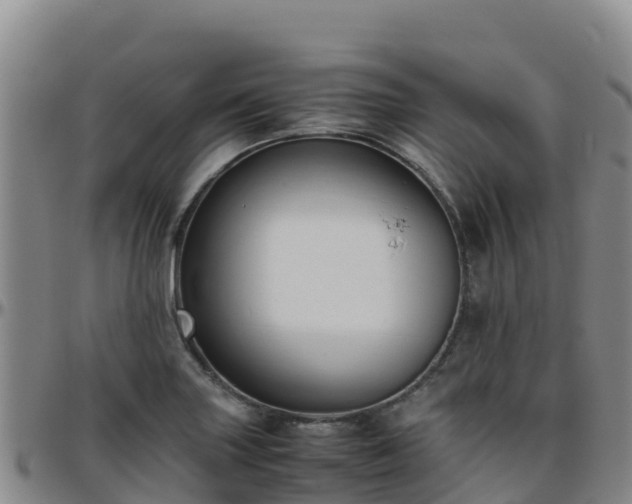 X0000096461227200801311505