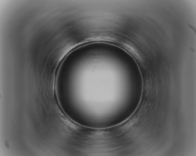 X0000096461228200801311505