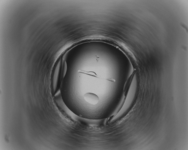 X0000096461229200801311505