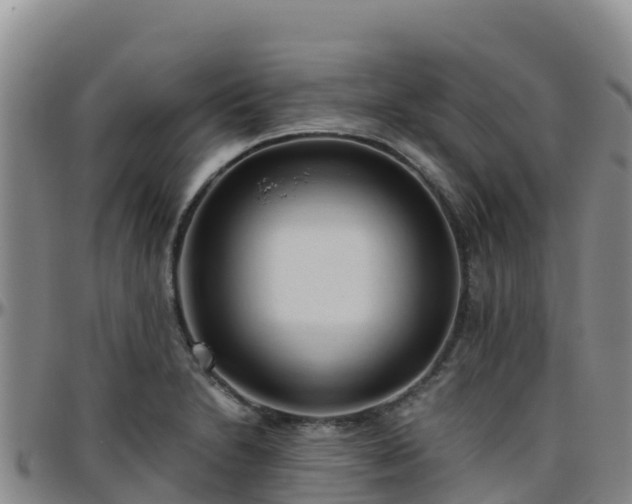 X0000096461230200801311505