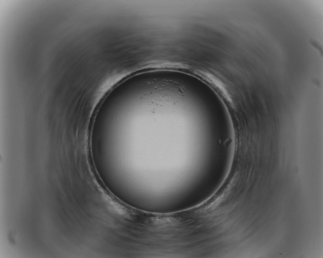 X0000096461231200801311505