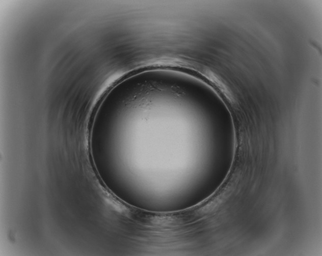 X0000096461232200801311505