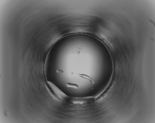 X0000096461233200801311505