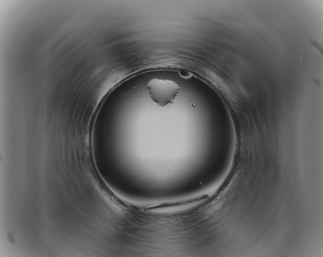 X0000096461234200801311505