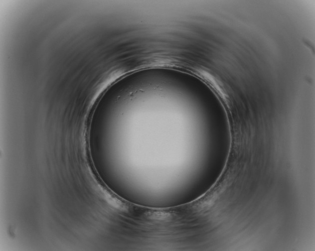 X0000096461235200801311505