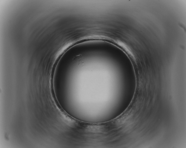 X0000096461237200801311505