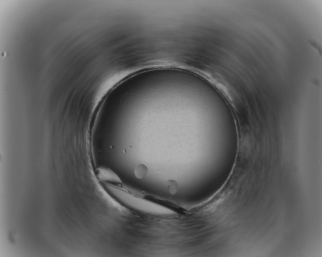 X0000096461239200801311505