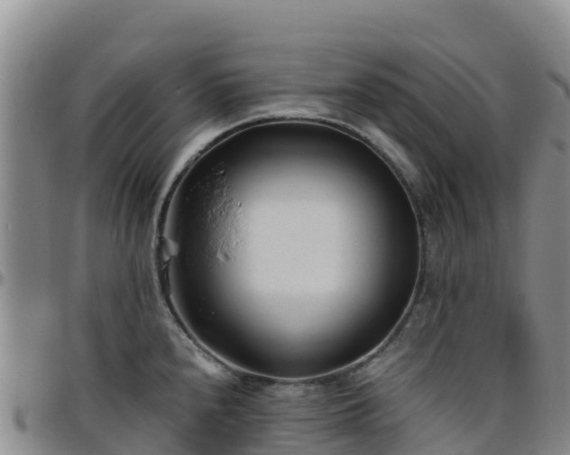X0000096461240200801311505
