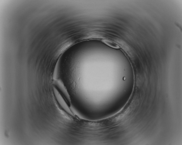 X0000096461241200801311505