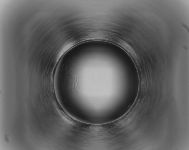 X0000096461242200801311505