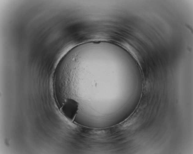 X0000096461243200801311505