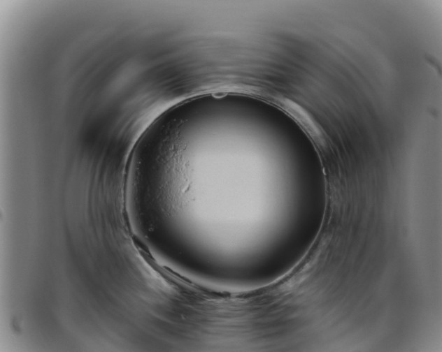X0000096461244200801311505