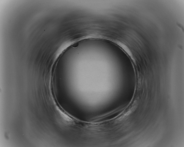 X0000096461245200801311505