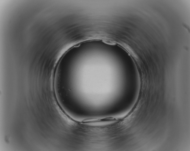 X0000096461246200801311505