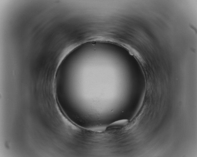 X0000096461247200801311505