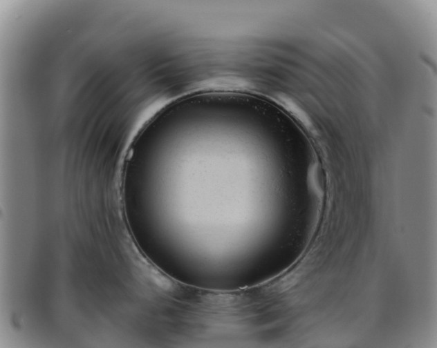 X0000096461248200801311505