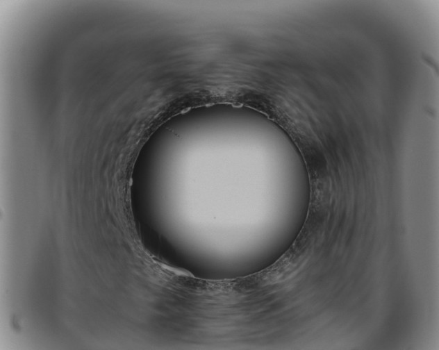 X0000096461249200801311504
