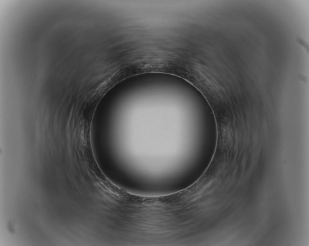 X0000096461250200801311504