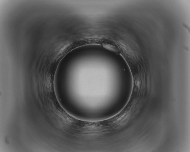 X0000096461252200801311504
