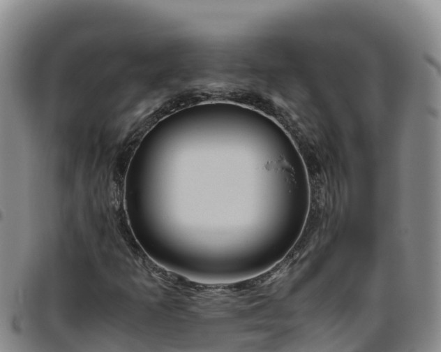 X0000096461253200801311504