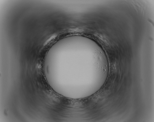 X0000096461254200801311504