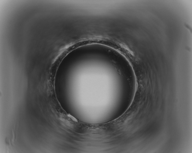 X0000096461256200801311504