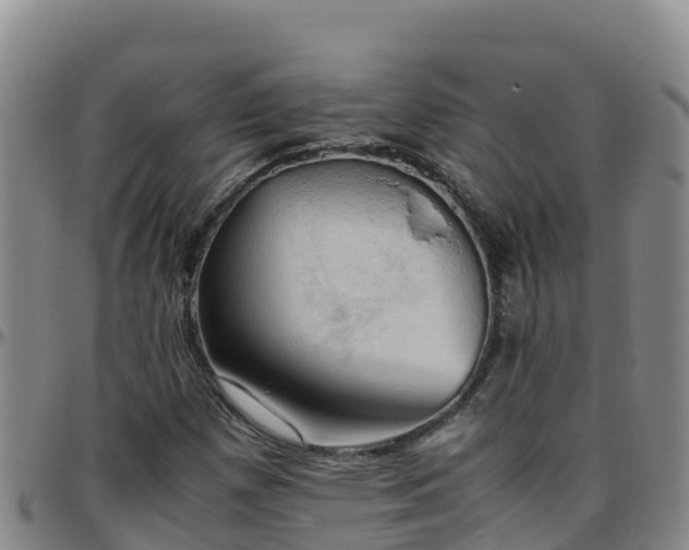 X0000096461257200801311504