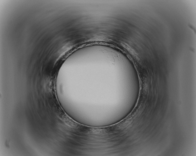 X0000096461258200801311504