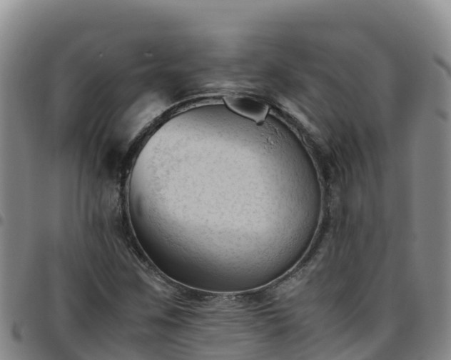 X0000096461259200801311504