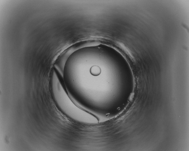 X0000096461260200801311504