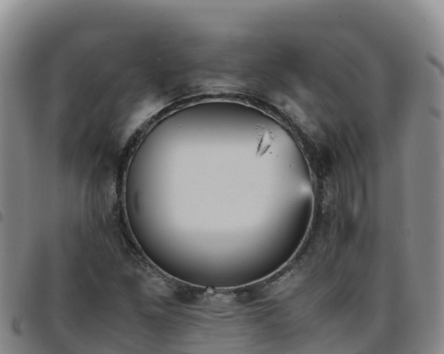 X0000096461261200801311504