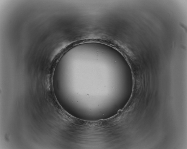 X0000096461262200801311504