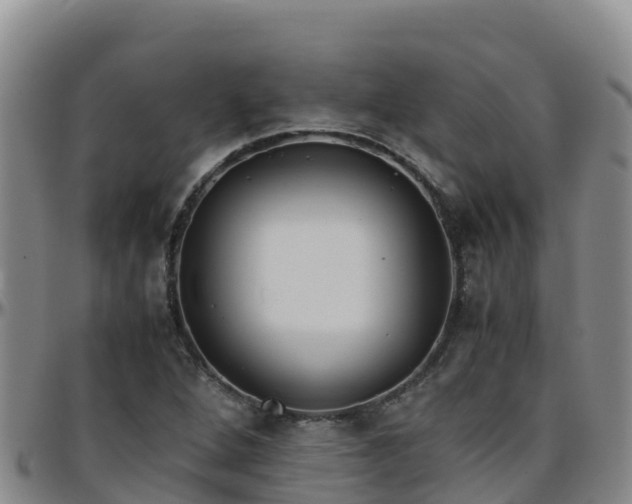 X0000096461264200801311504