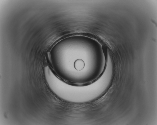 X0000096461265200801311504