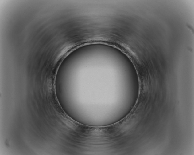 X0000096461266200801311504