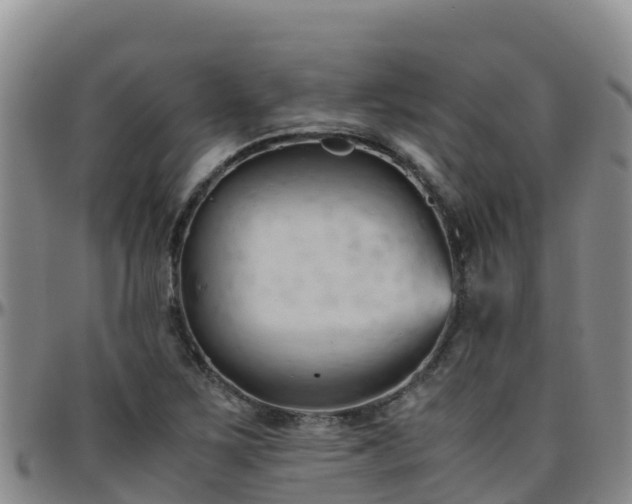 X0000096461267200801311504