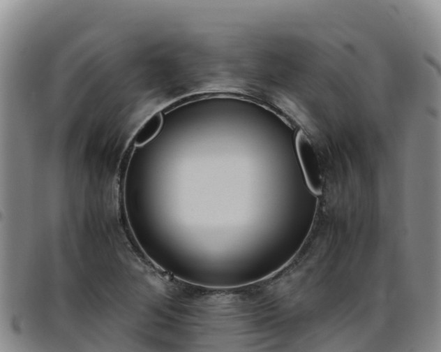 X0000096461268200801311504