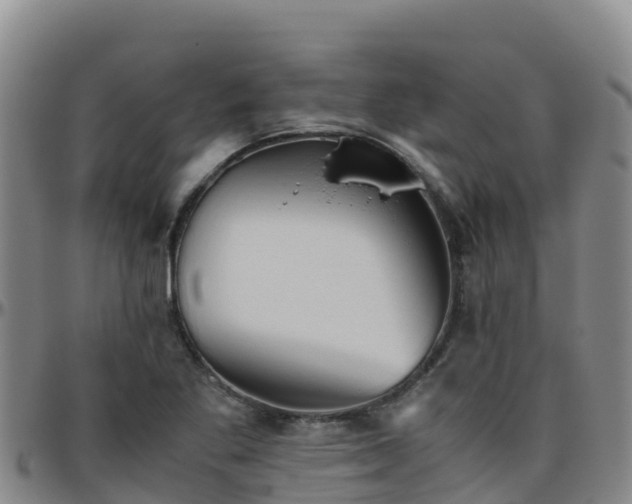 X0000096461269200801311504