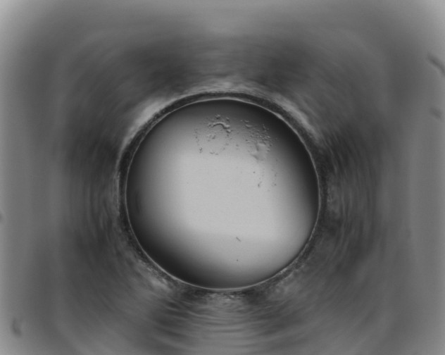 X0000096461270200801311504