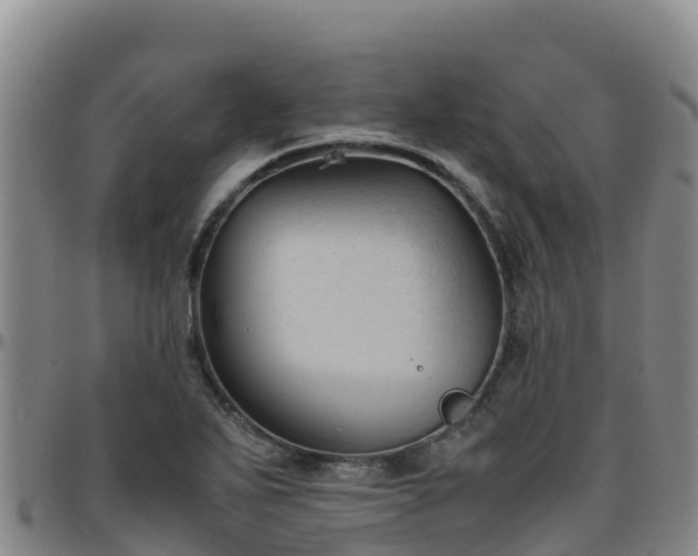 X0000096461271200801311504