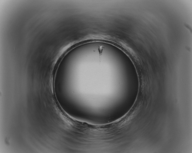 X0000096461272200801311504