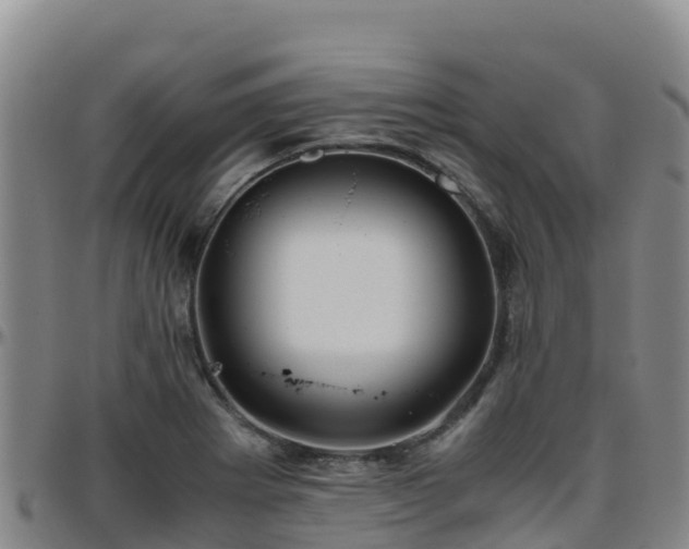 X0000096461273200801311504