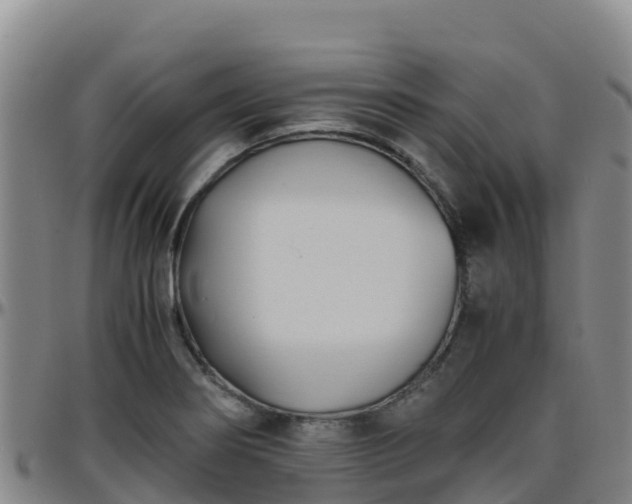 X0000096461274200801311504