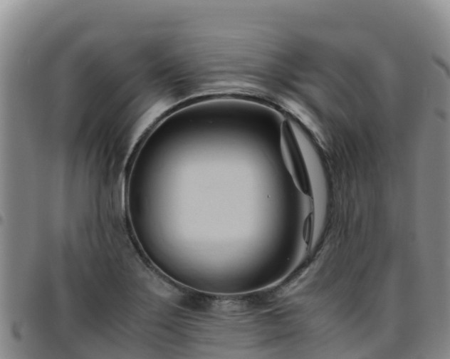 X0000096461275200801311504